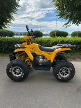 Бензиновый квадроцикл Motoland WILD 125 X PRO