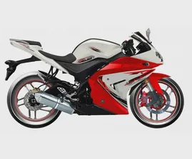 Мотоцикл MotoLand R1 250 PRO (TD250)